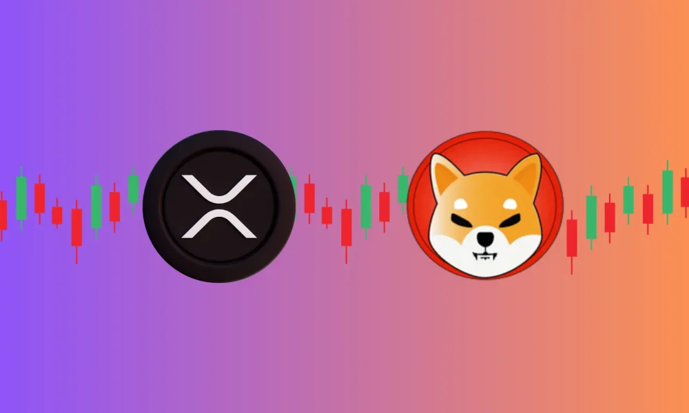 xrp shiba inu